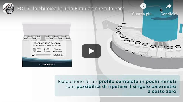 video-fc15
