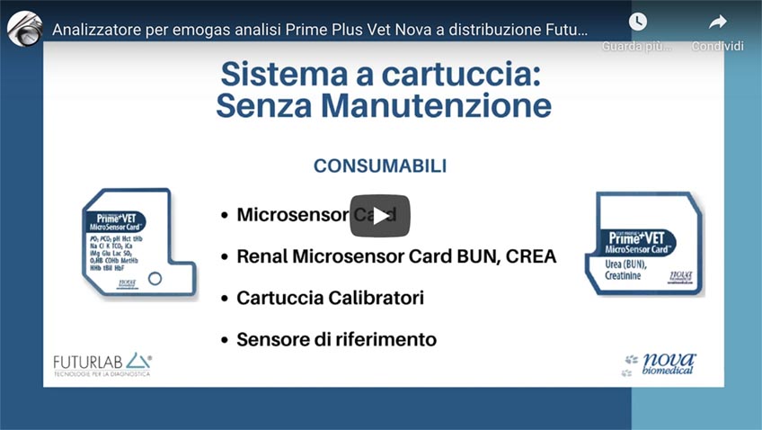 video-p-plus